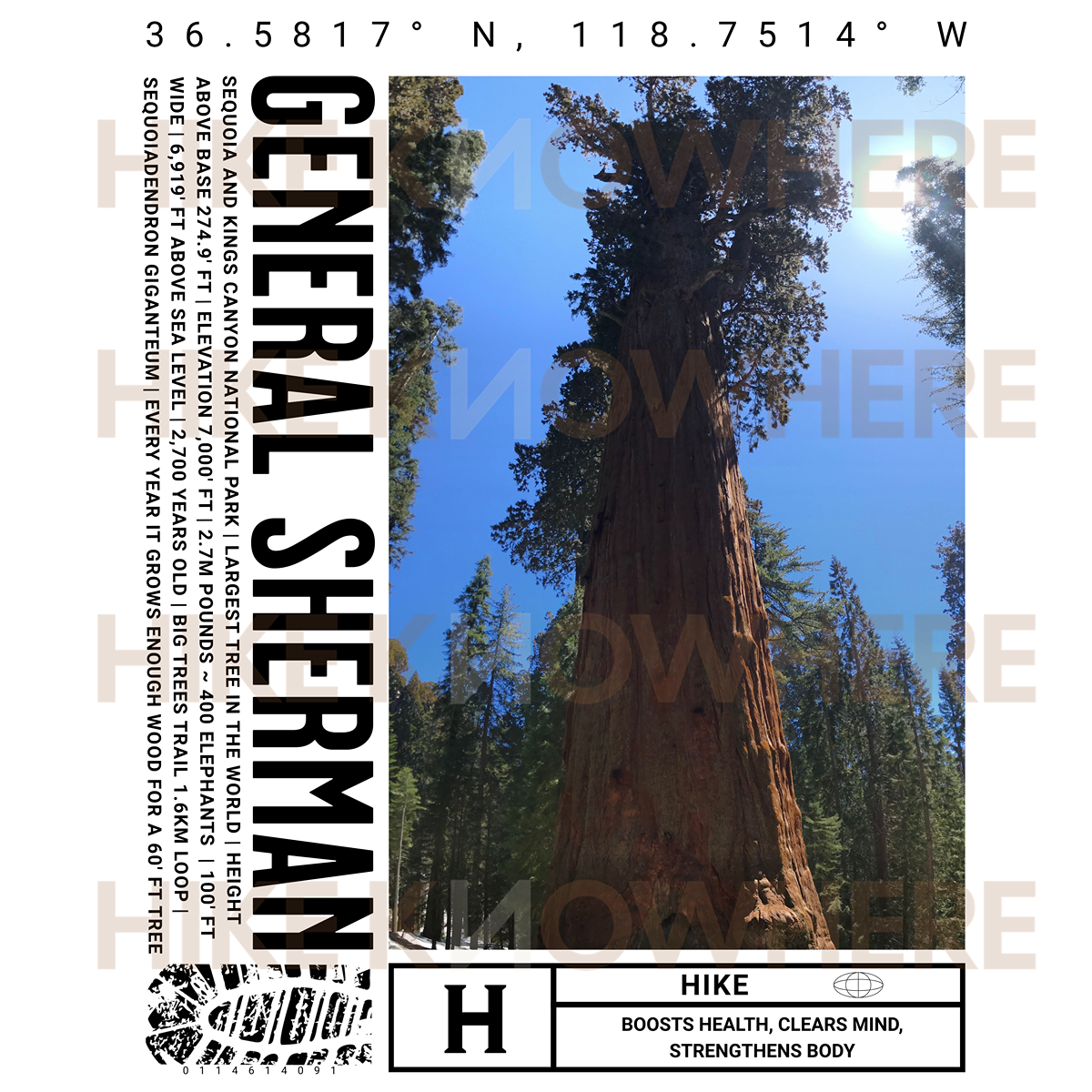 General Sherman Graphic Tee